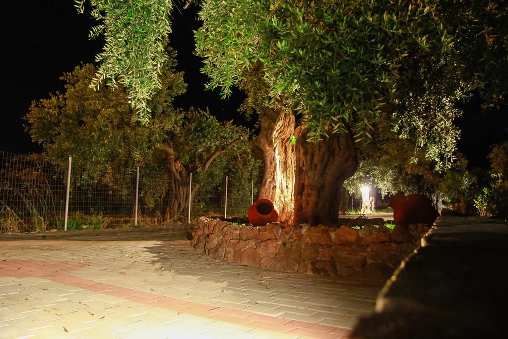 Studios Elianthos Skála Kallirákhis المظهر الخارجي الصورة