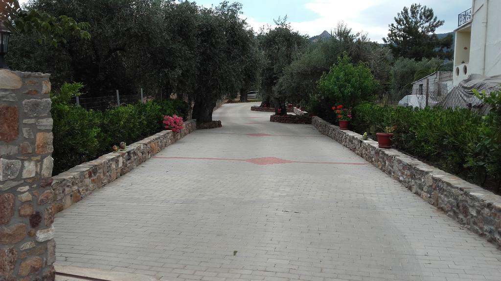 Studios Elianthos Skála Kallirákhis المظهر الخارجي الصورة