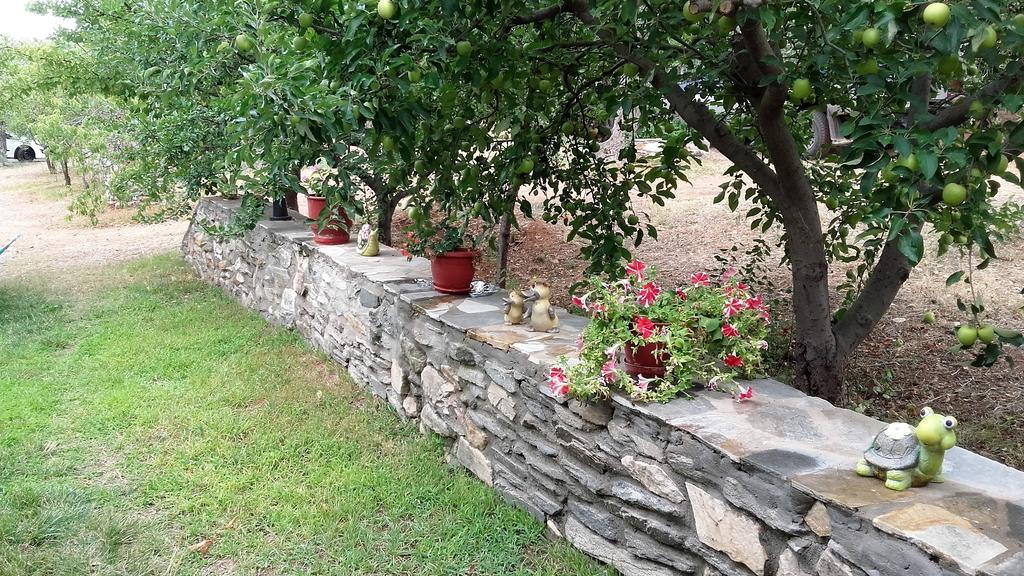 Studios Elianthos Skála Kallirákhis المظهر الخارجي الصورة